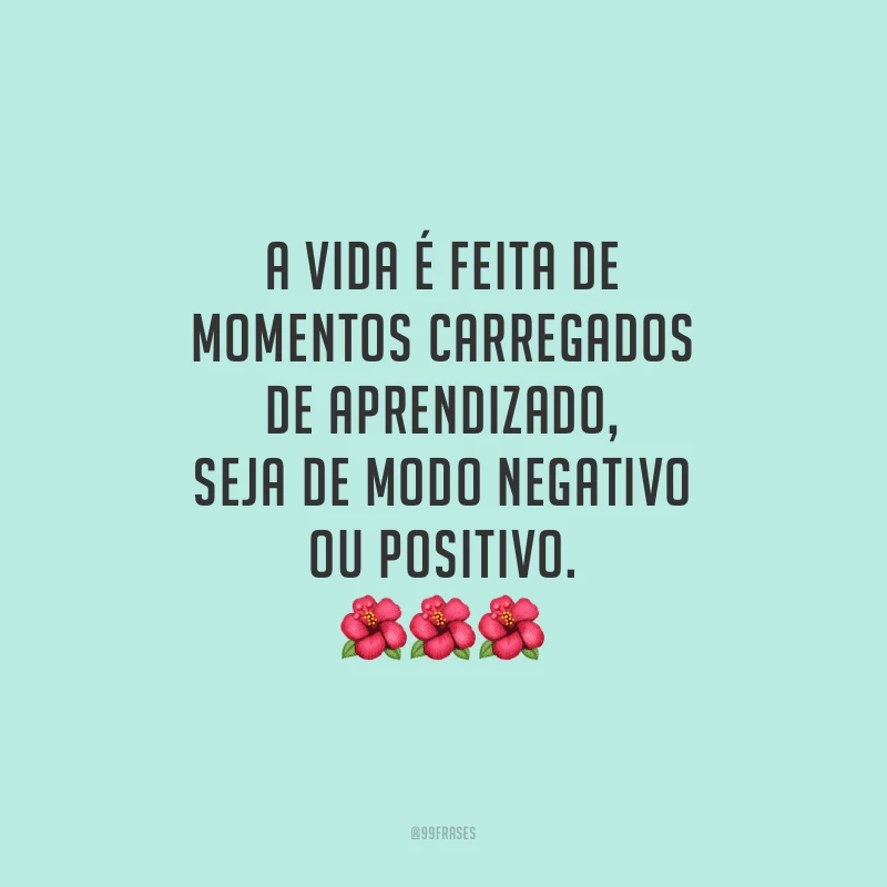 A vida é feita de momentos carregados de aprendizado, seja de modo negativo ou positivo.