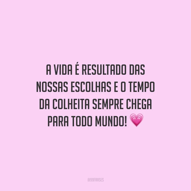 A vida é resultado das nossas escolhas e o tempo da colheita sempre chega para todo mundo!