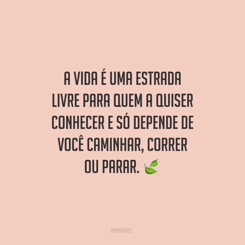 A vida é uma estrada livre para quem a quiser conhecer e só depende de você caminhar, correr ou parar.