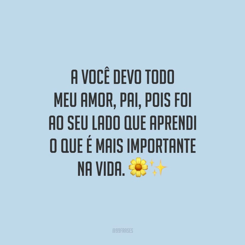 A você devo todo meu amor, pai, pois foi ao seu lado que aprendi o que é mais importante na vida.