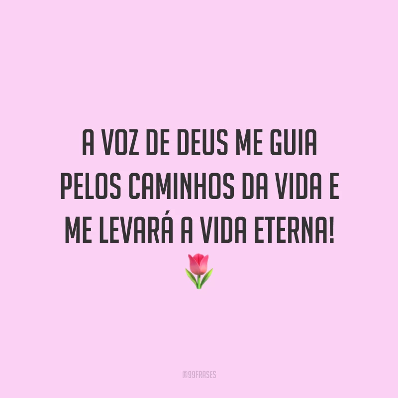 A voz de Deus me guia pelos caminhos da vida e me levará a vida eterna! 🌷