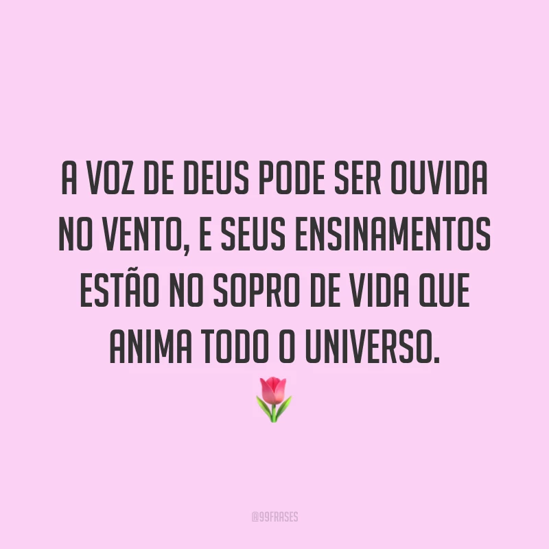 A voz de Deus pode ser ouvida no vento, e seus ensinamentos estão no sopro de vida que anima todo o universo. 🌷