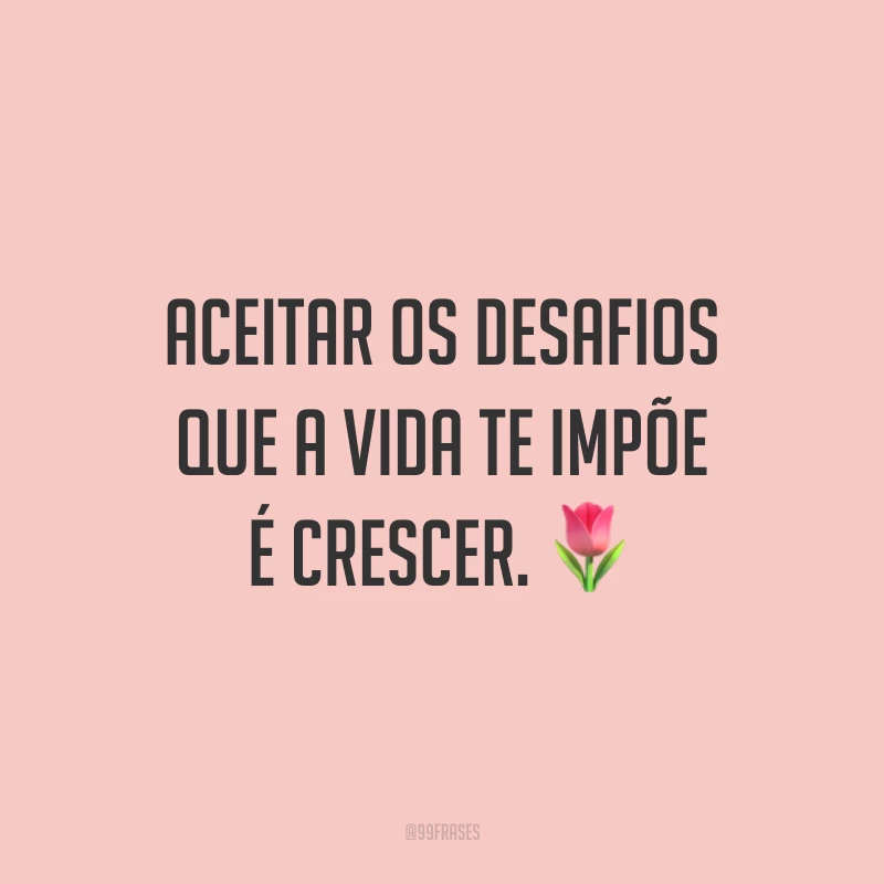 Aceitar os desafios que a vida te impõe é crescer. 