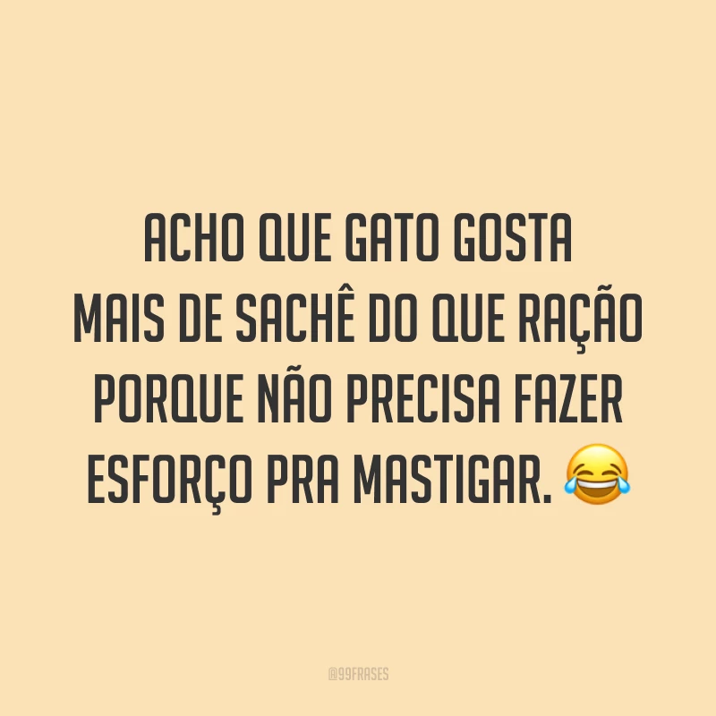 Acho que gato gosta mais de sachê do que ração porque não precisa fazer esforço pra mastigar. 😂
