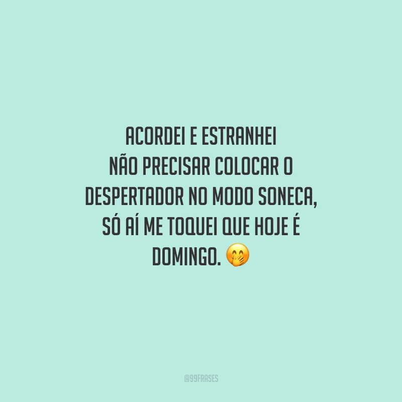 Acordei e estranhei não precisar colocar o despertador no modo soneca, só aí me toquei que hoje é domingo.