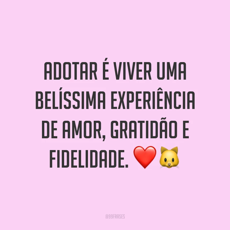 Adotar é viver uma belíssima experiência de amor, gratidão e fidelidade. ❤️🐱
