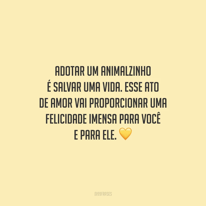 Adotar um animalzinho é salvar uma vida. Esse ato de amor vai proporcionar uma felicidade imensa para você e para ele.