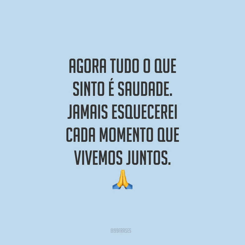 Agora tudo o que sinto é saudade. Jamais esquecerei cada momento que vivemos juntos.

