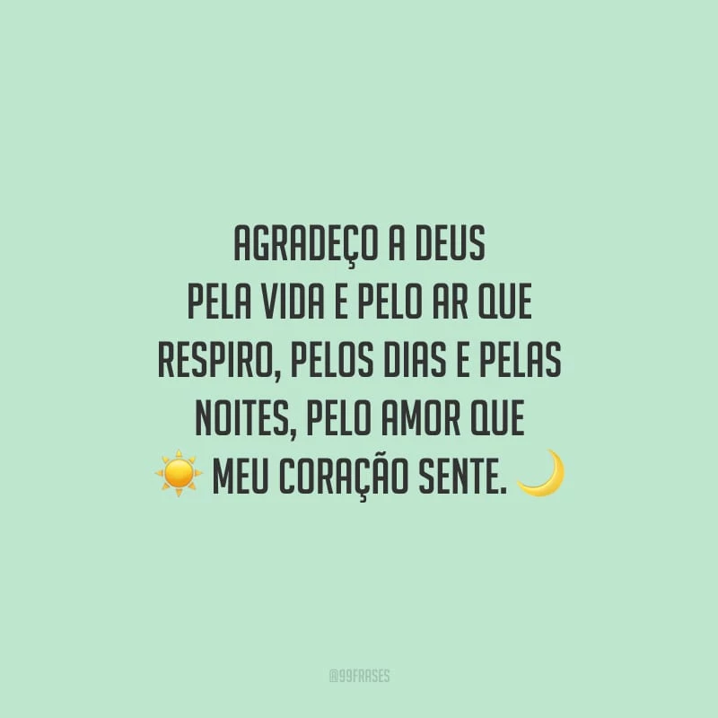 Agradeço a Deus pela vida e pelo ar que respiro, pelos dias e pelas noites, pelo amor que meu coração sente.