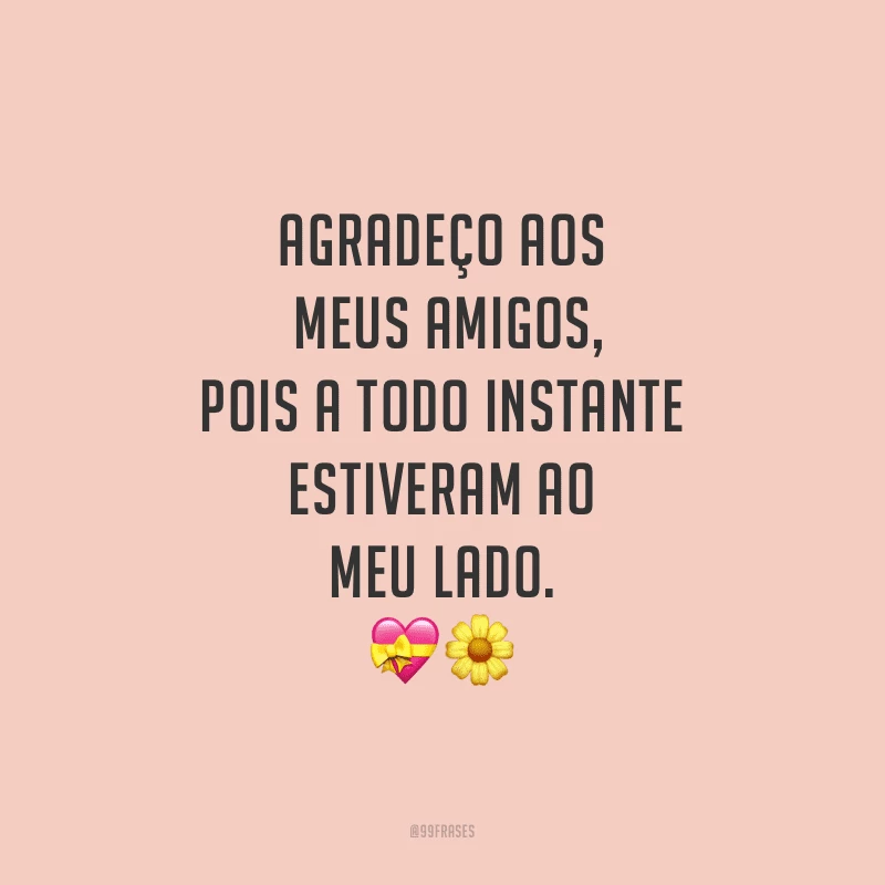 Agradeço aos meus amigos, pois a todo instante estiveram ao meu lado.