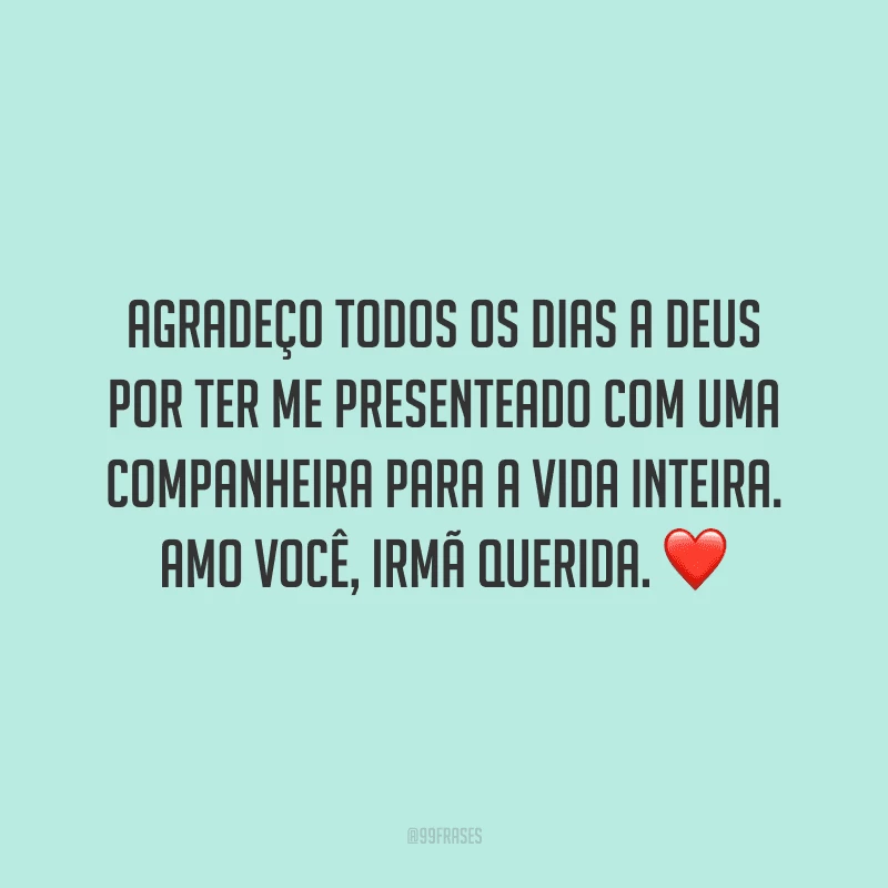 Agradeço todos os dias a Deus por ter me presenteado com uma companheira para a vida inteira. Amo você, irmã querida.