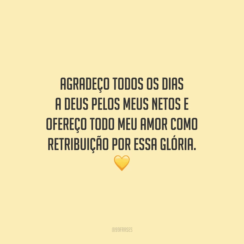 Agradeço todos os dias a Deus pelos meus netos e ofereço todo meu amor como retribuição por essa glória. 