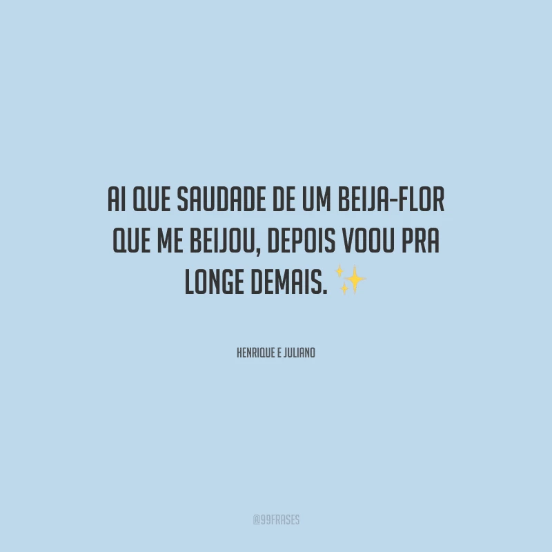 Ai que saudade de um beija-flor que me beijou, depois voou pra longe demais.