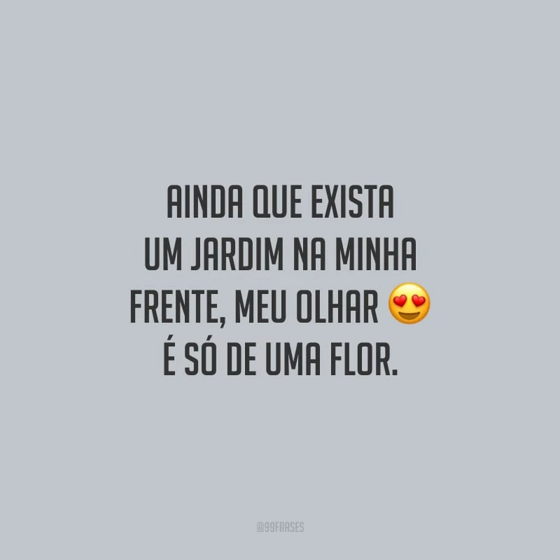 Ainda que exista um jardim na minha frente, meu olhar é só de uma flor.