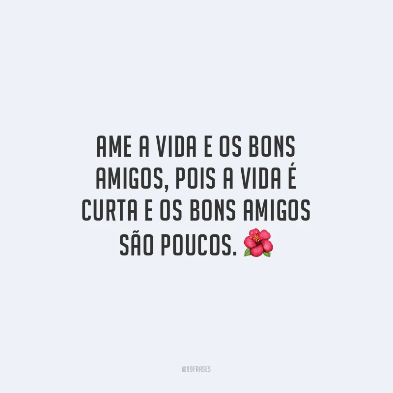 Ame a vida e os bons amigos, pois a vida é curta e os bons amigos são poucos.