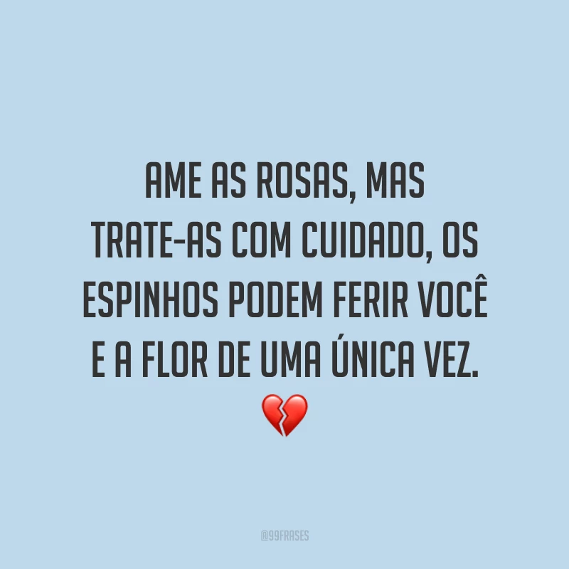 Ame as rosas, mas trate-as com cuidado, os espinhos podem ferir você e a flor de uma única vez. 💔
