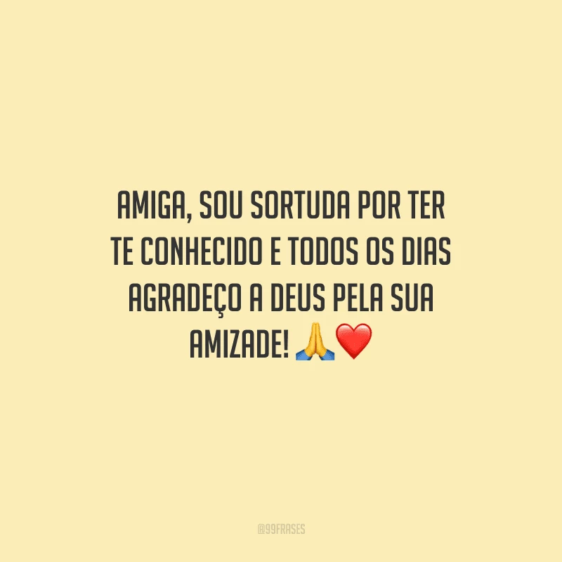 Amiga, sou sortuda por ter te conhecido e todos os dias agradeço a Deus pela sua amizade!
