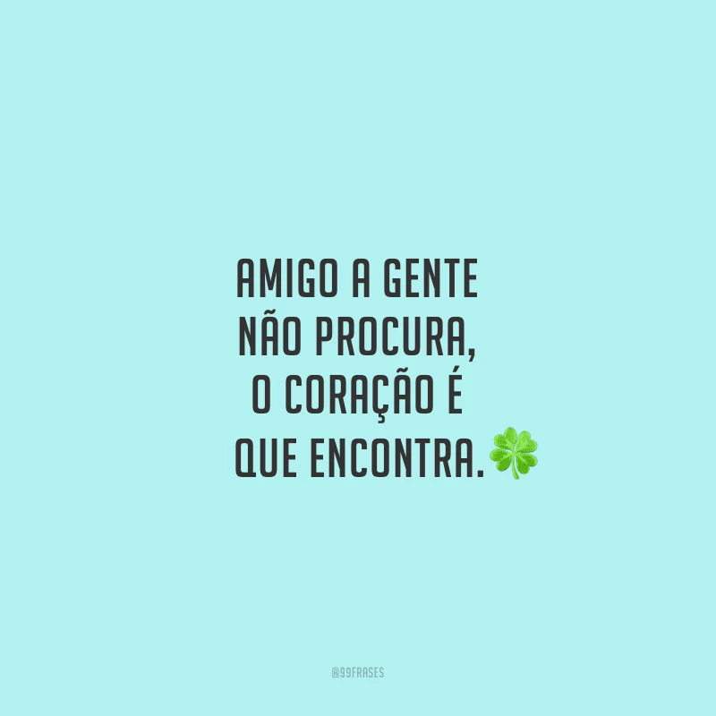 Amigo a gente não procura, o coração é que encontra.