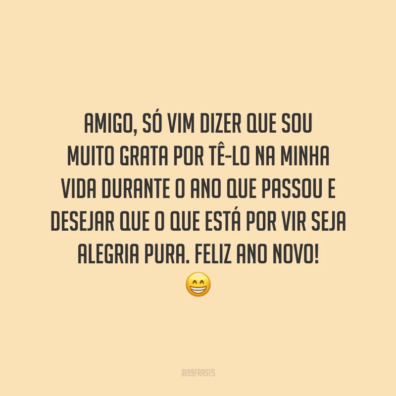 Amigo, só vim dizer que sou muito grata por tê-lo na minha vida durante o ano que passou e desejar que o que está por vir seja alegria pura. Feliz Ano Novo!