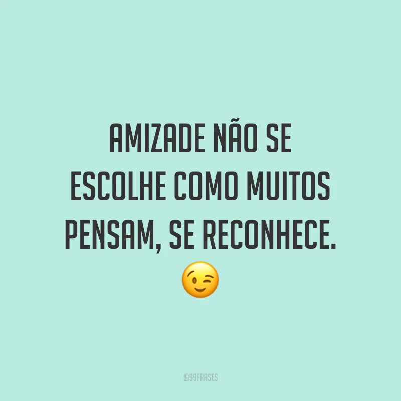 Amizade não se escolhe como muitos pensam, se reconhece. 😉