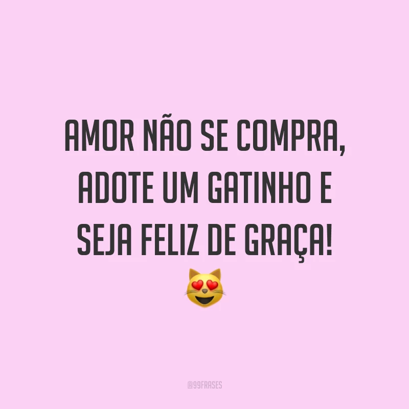 Amor não se compra, adote um gatinho e seja feliz de graça! 😻