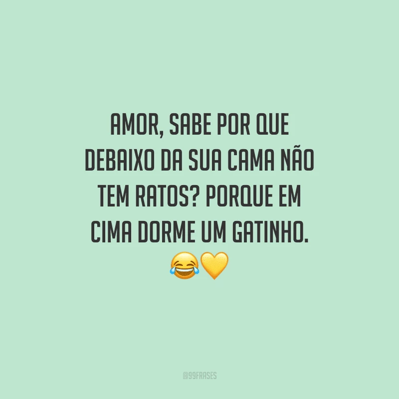 Amor, sabe por que debaixo da sua cama não tem ratos? Porque em cima dorme um gatinho. 