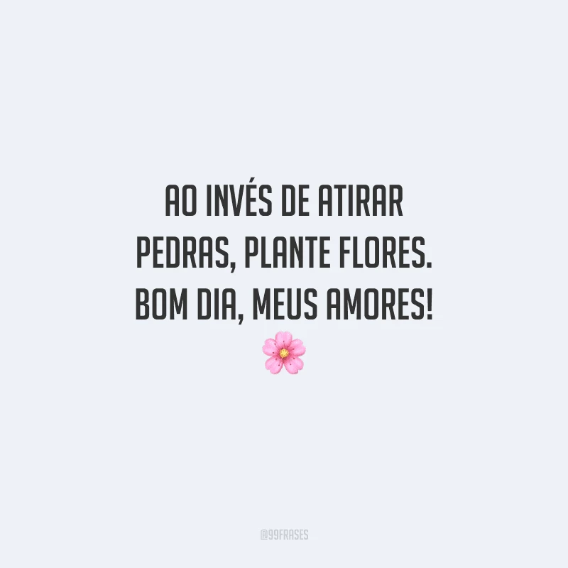 Ao invés de atirar pedras, plante flores. Bom dia, meus amores! 