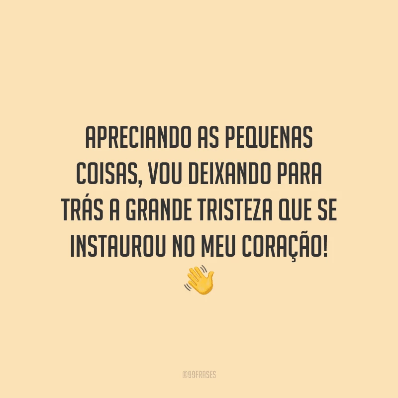 Apreciando as pequenas coisas, vou deixando para trás a grande tristeza que se instaurou no meu coração!
