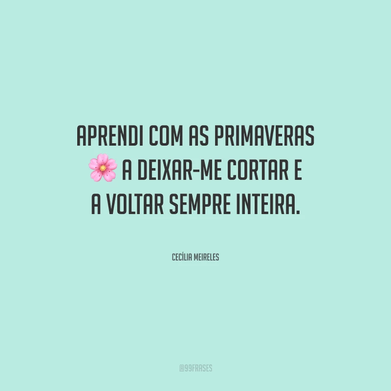 Aprendi com as primaveras a deixar-me cortar e a voltar sempre inteira.
