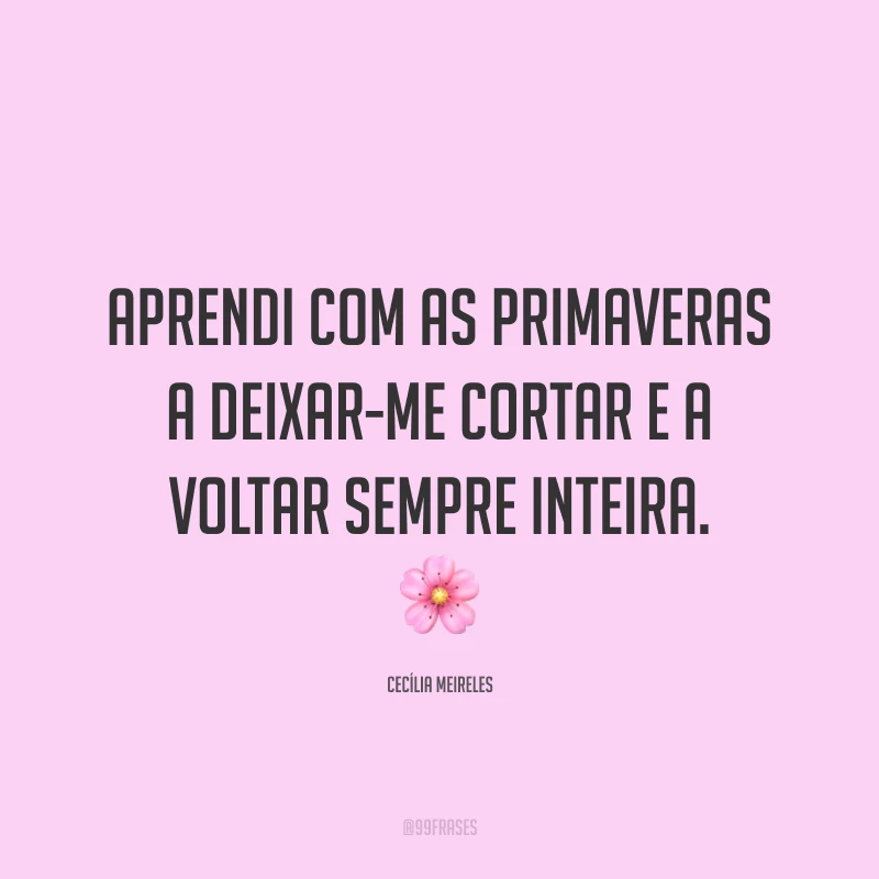 Aprendi com as primaveras a deixar-me cortar e a voltar sempre inteira. 🌸