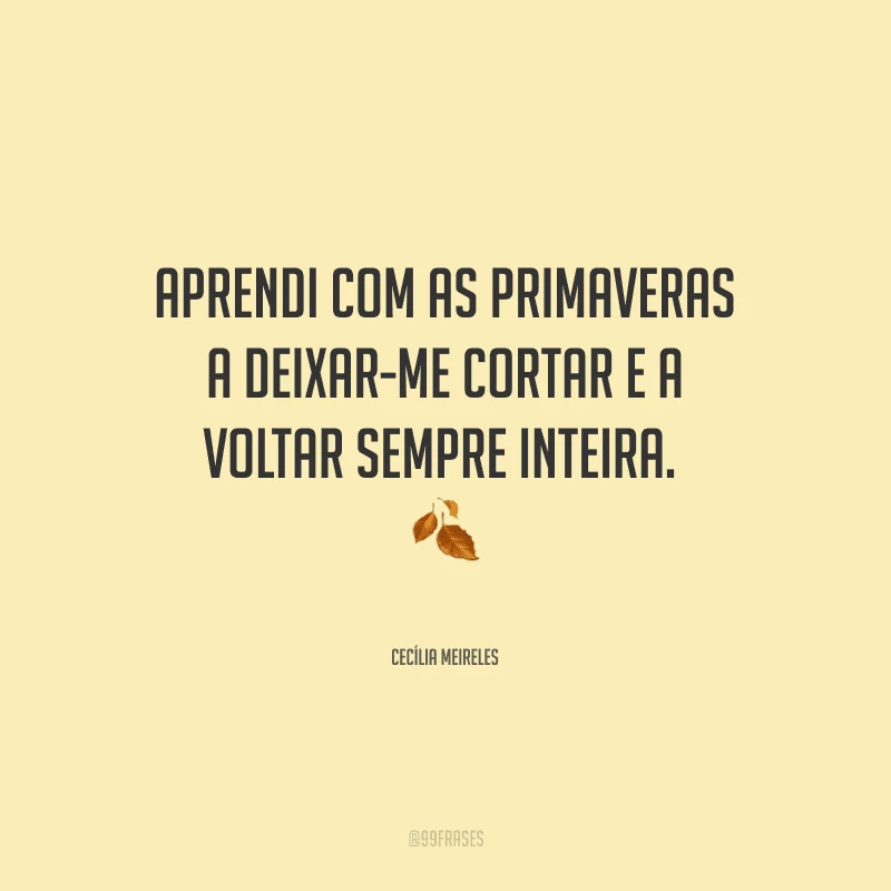 Aprendi com as primaveras a deixar-me cortar e a voltar sempre inteira. 