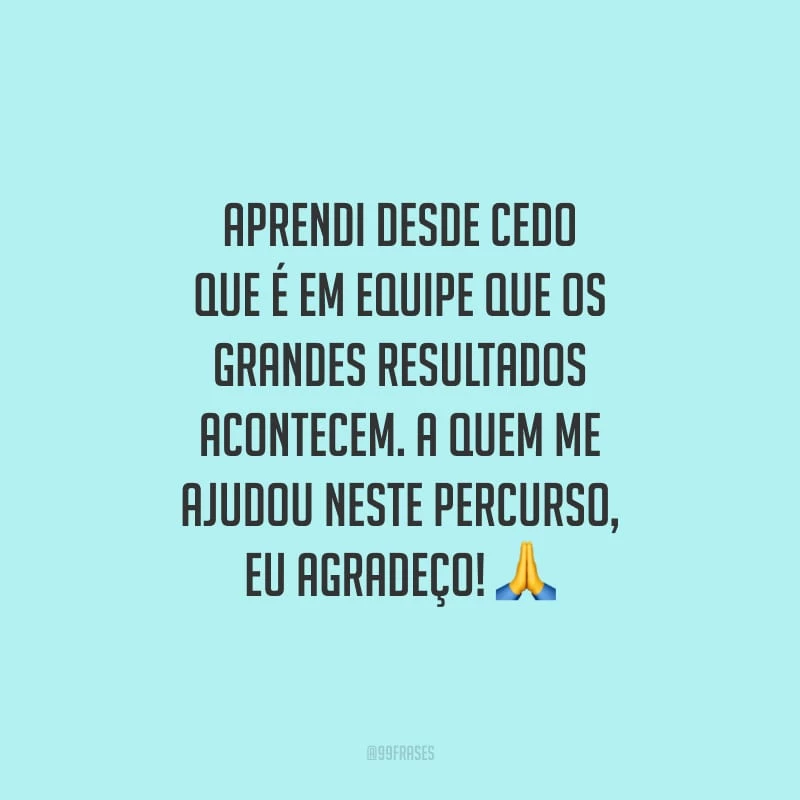 Aprendi desde cedo que é em equipe que os grandes resultados acontecem. A quem me ajudou neste percurso, eu agradeço!