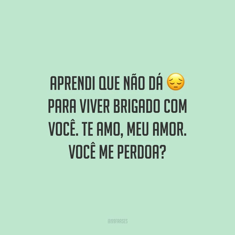 Aprendi que não dá para viver brigado com você. Te amo, meu amor. Você me perdoa?