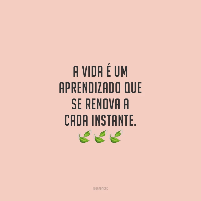 A vida é um aprendizado que se renova a cada instante.
