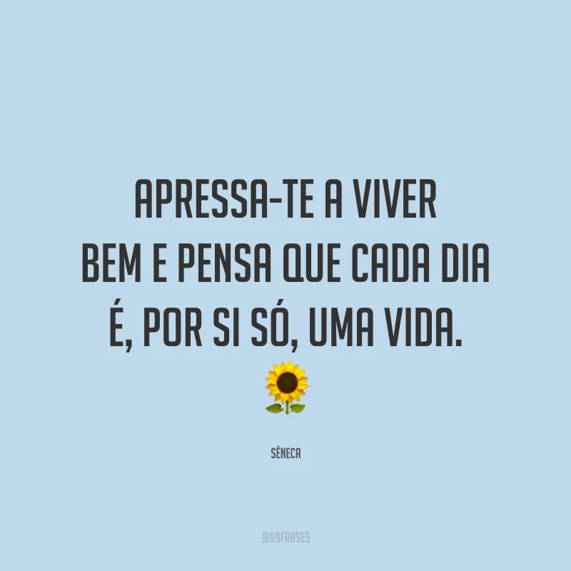 Apressa-te a viver bem e pensa que cada dia é, por si só, uma vida. 🌻