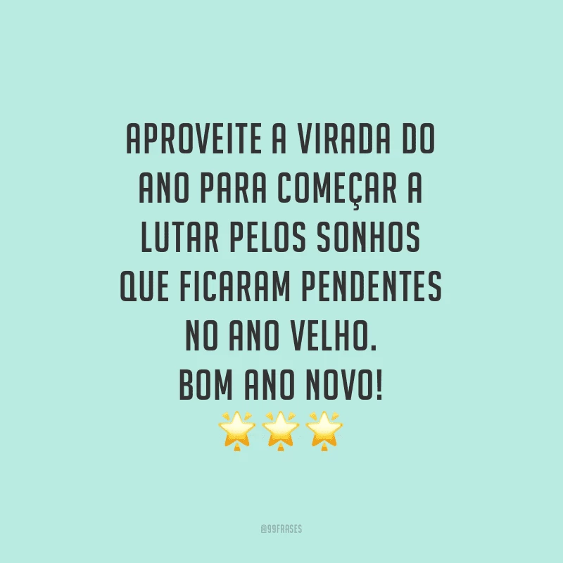 Aproveite a virada do ano para começar a lutar pelos sonhos que ficaram pendentes no ano velho. Bom Ano Novo!