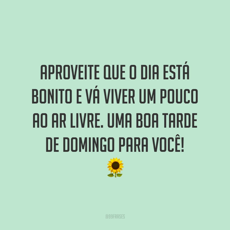 Aproveite que o dia está bonito e vá viver um pouco ao ar livre. Uma boa tarde de domingo para você!