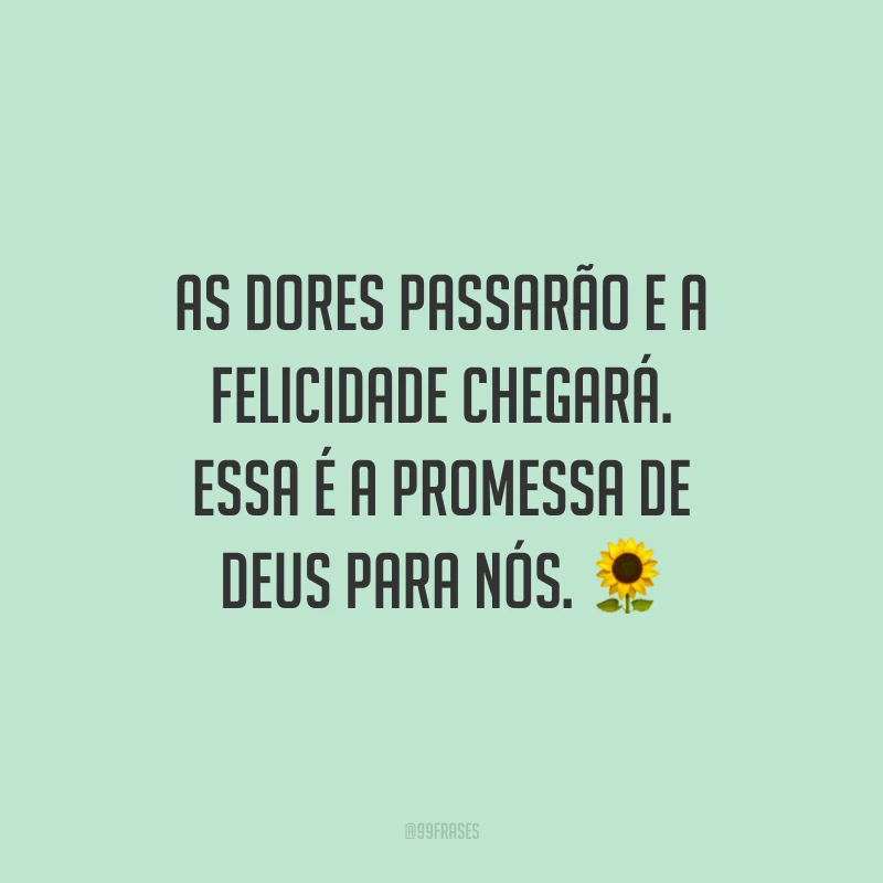 As dores passarão e a felicidade chegará. Essa é a promessa de Deus para nós. ?