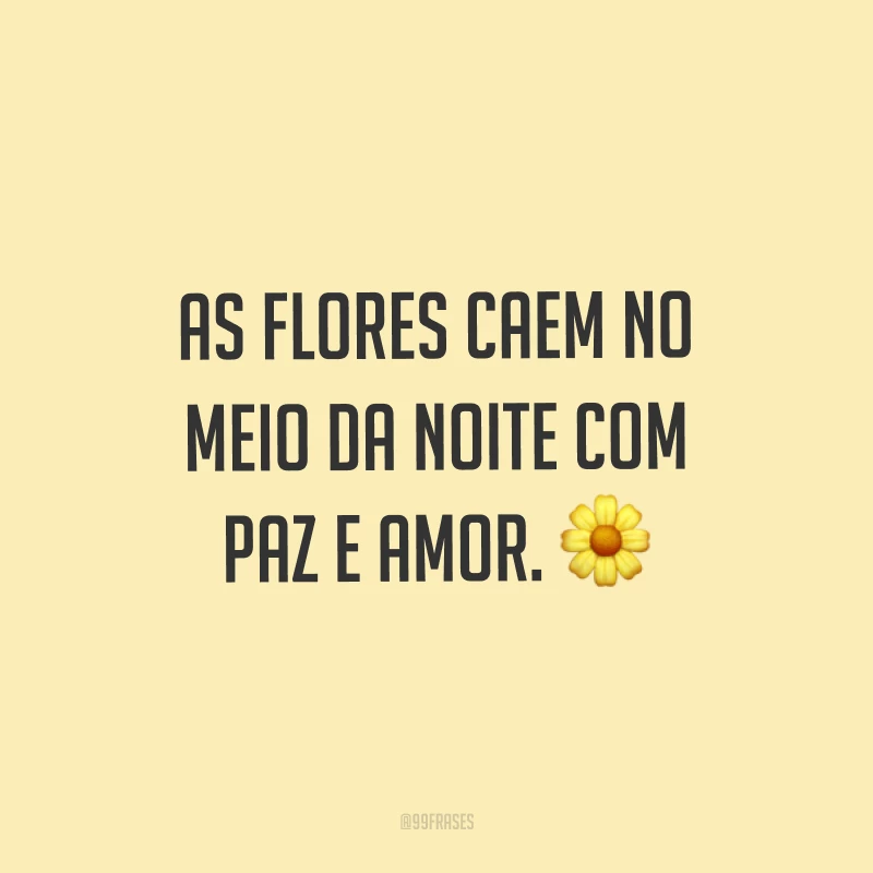As flores caem no meio da noite com paz e amor. ?