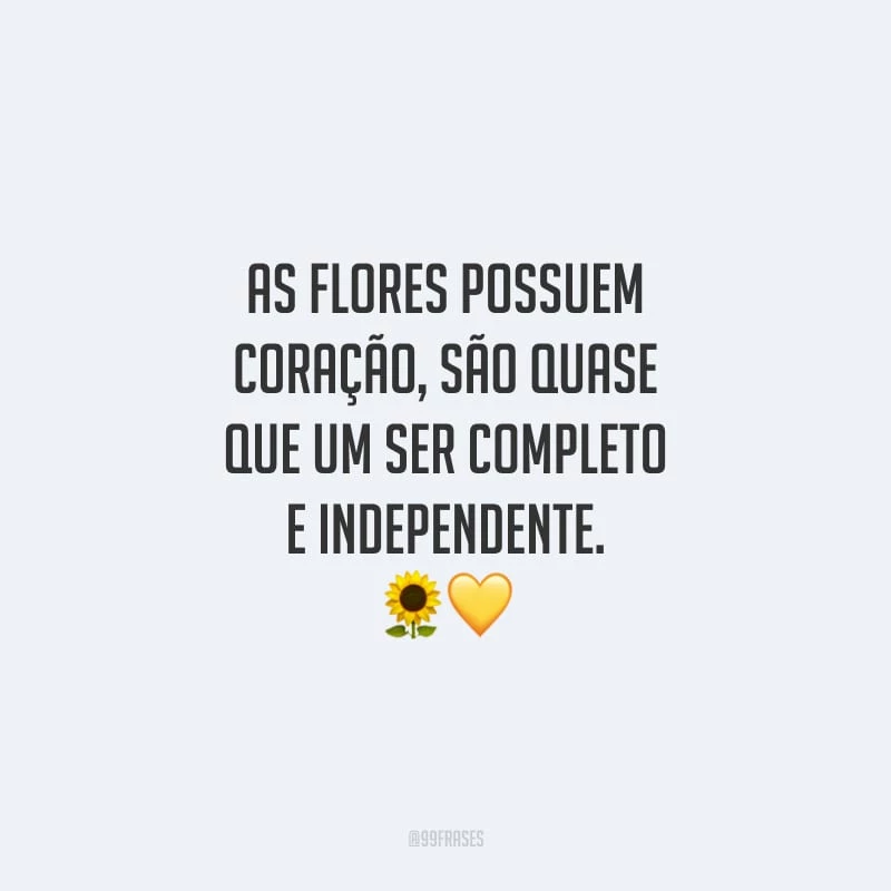 As flores possuem coração, são quase que um ser completo e independente. 