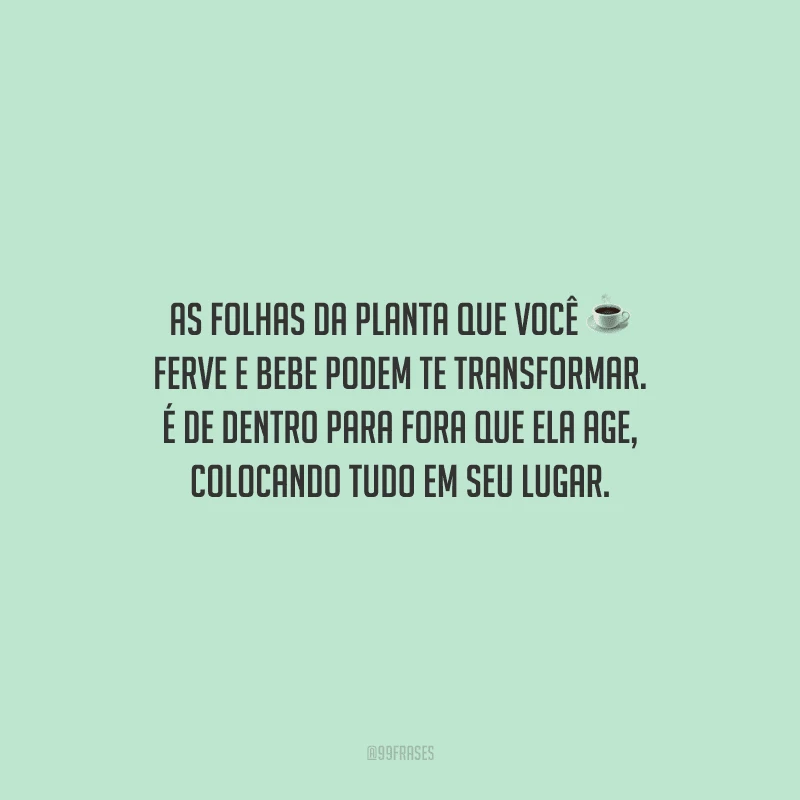 As folhas da planta que você ferve e bebe podem te transformar. É de dentro para fora que ela age, colocando tudo em seu lugar.