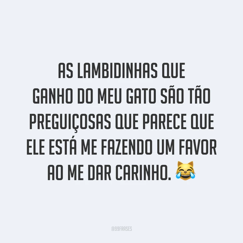 As lambidinhas que ganho do meu gato são tão preguiçosas que parece que ele está me fazendo um favor ao me dar carinho. 😹