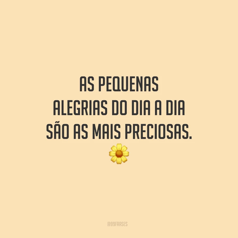 As pequenas alegrias do dia a dia são as mais preciosas.