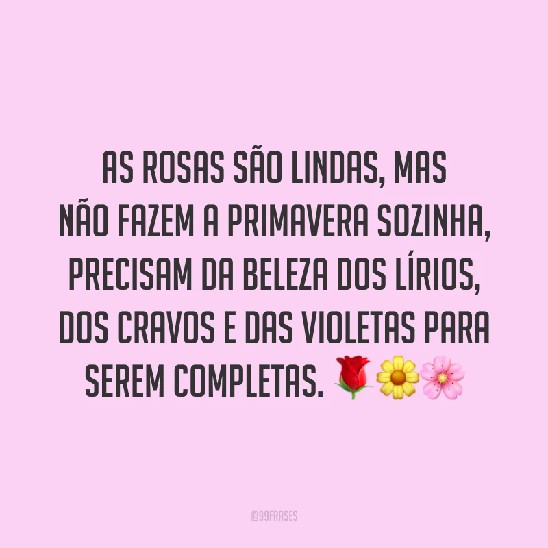 As rosas são lindas, mas não fazem a primavera sozinha, precisam da beleza dos lírios, dos cravos e das violetas para serem completas. 🌹🌼🌸