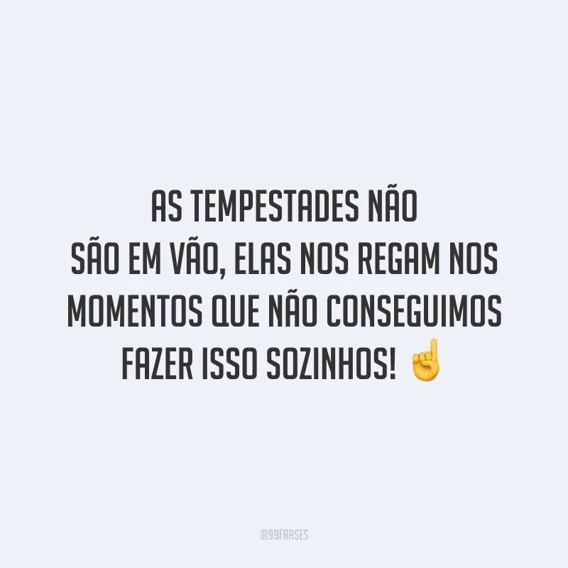 As tempestades não são em vão, elas nos regam nos momentos que não conseguimos fazer isso sozinhos! 