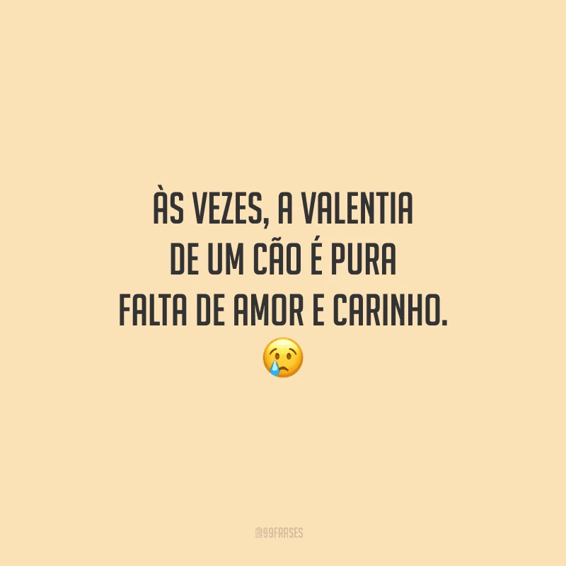 Às vezes, a valentia de um cão é pura falta de amor e carinho.