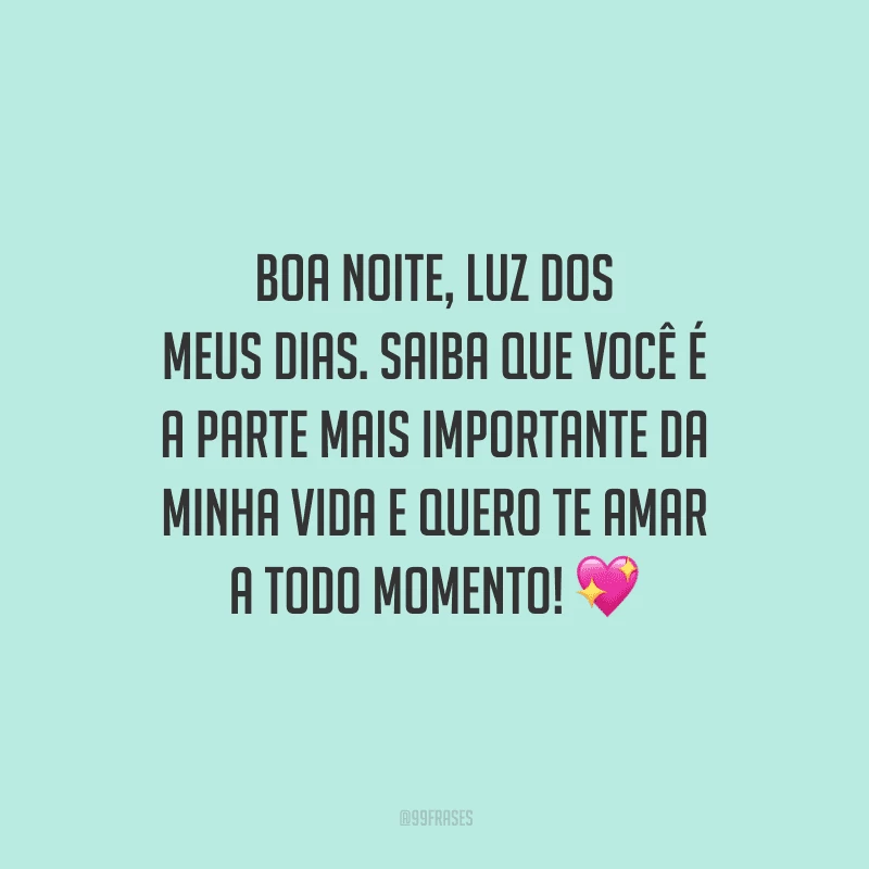 Boa noite, luz dos meus dias. Saiba que você é a parte mais importante da minha vida e quero te amar a todo momento! 
