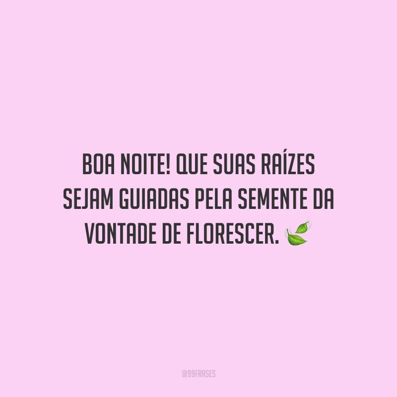 Boa noite! Que suas raízes sejam guiadas pela semente da vontade de florescer.