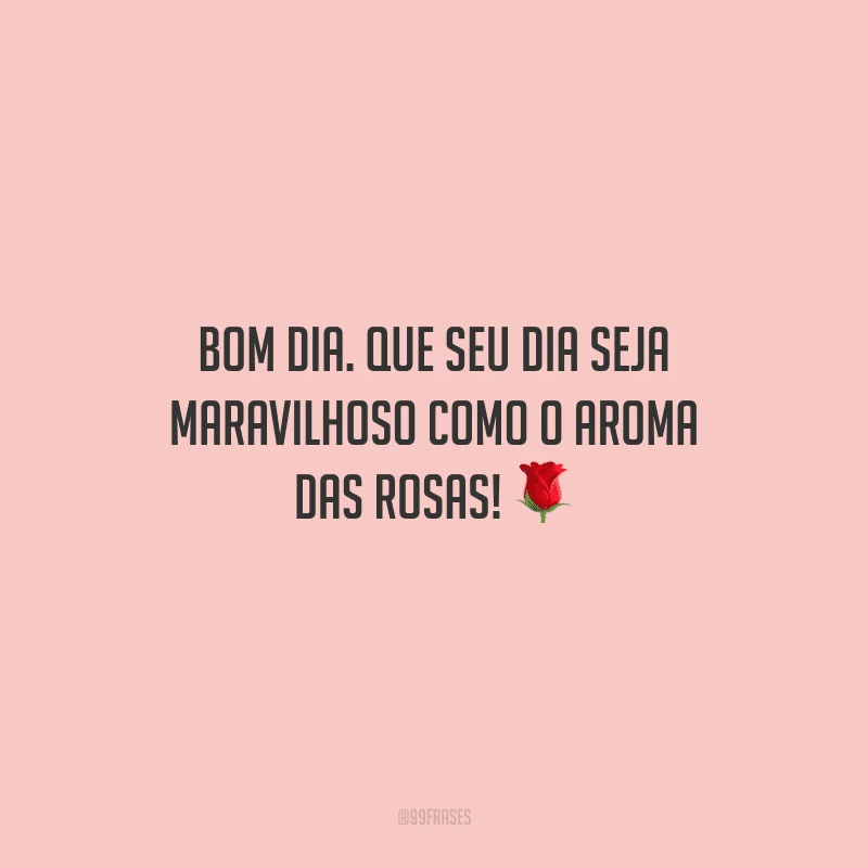 Bom dia. Que seu dia seja maravilhoso como o aroma das rosas! 
