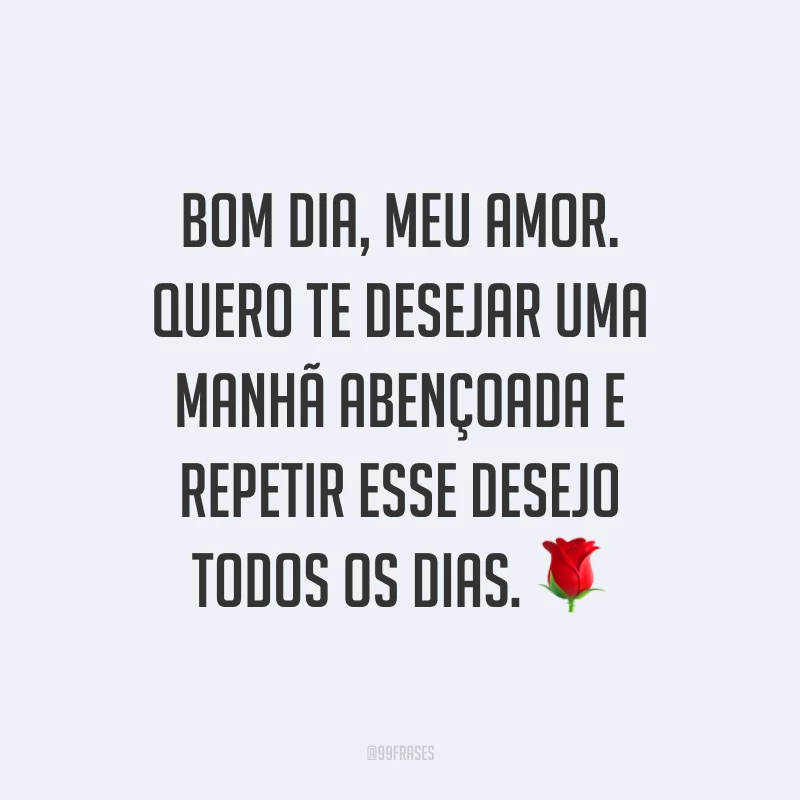 Bom dia, meu amor. Quero te desejar uma manhã abençoada e repetir esse desejo todos os dias. ?